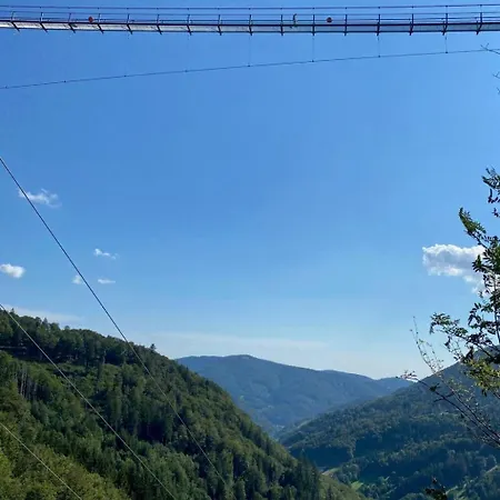 Sonnenblick Ii By Interhome Apartmán Todtnauberg