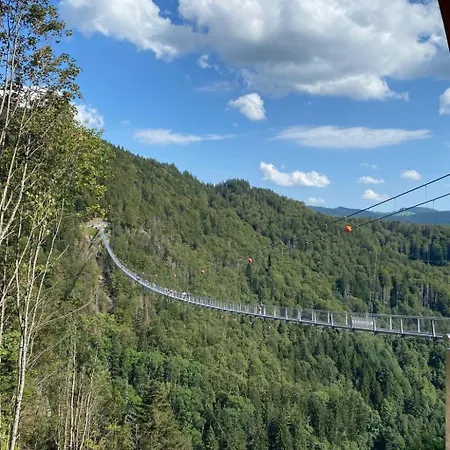 Sonnenblick Ii By Interhome Todtnauberg