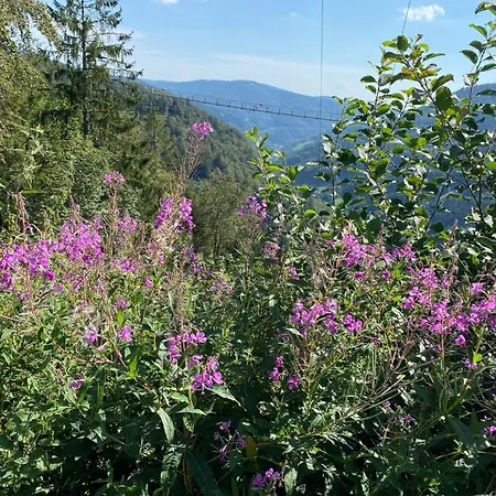 Apartmán Sonnenblick Ii By Interhome