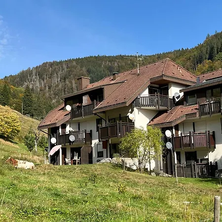 Sonnenblick Ii By Interhome Apartment Todtnauberg