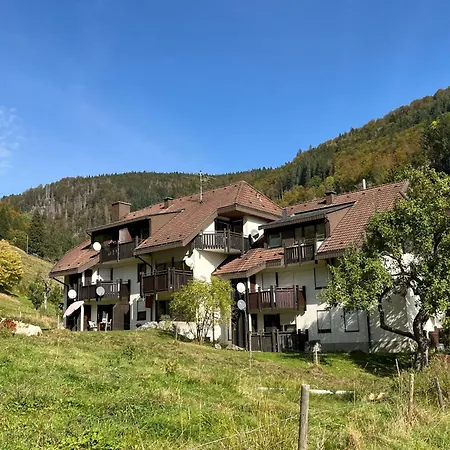 Sonnenblick Ii By Interhome * Todtnauberg