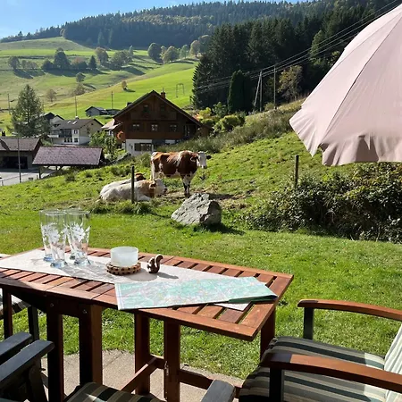 Sonnenblick Ii By Interhome Todtnauberg