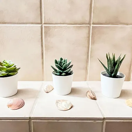 Sonnenblick Ii By Interhome * Todtnauberg