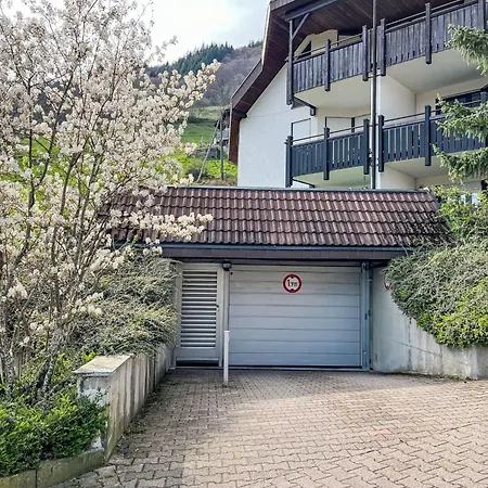 Sonnenblick Ii By Interhome Todtnauberg